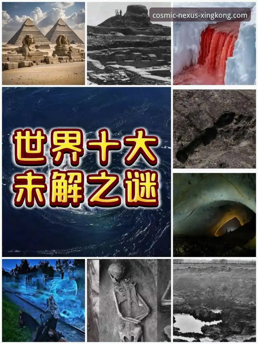 揭秘星空入口：数字世界平台攻略背后的真相，这些你不知道的事