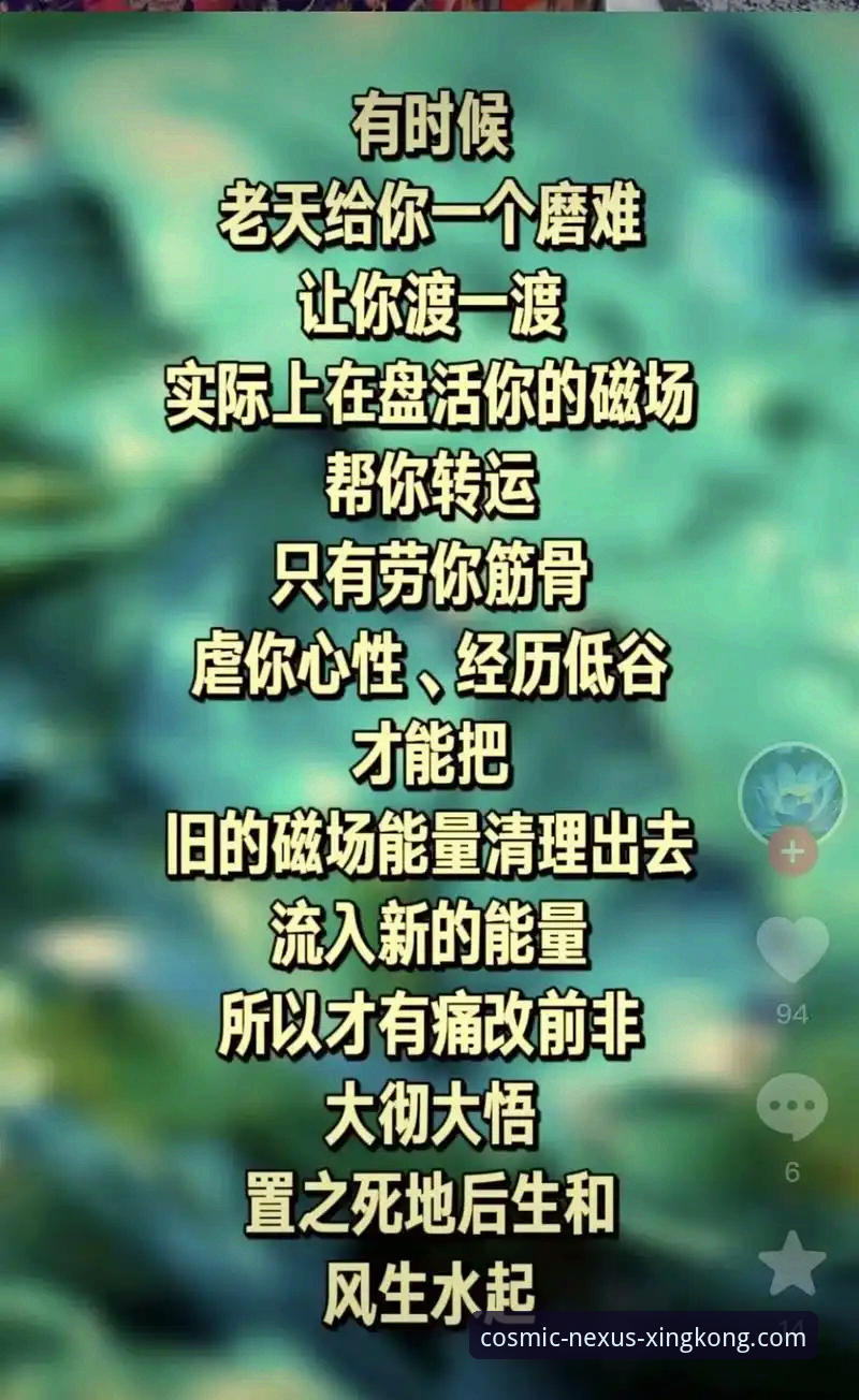 星空入口使用指南最新动态：v2.1.0版本功能详解与老用户实用经验分享